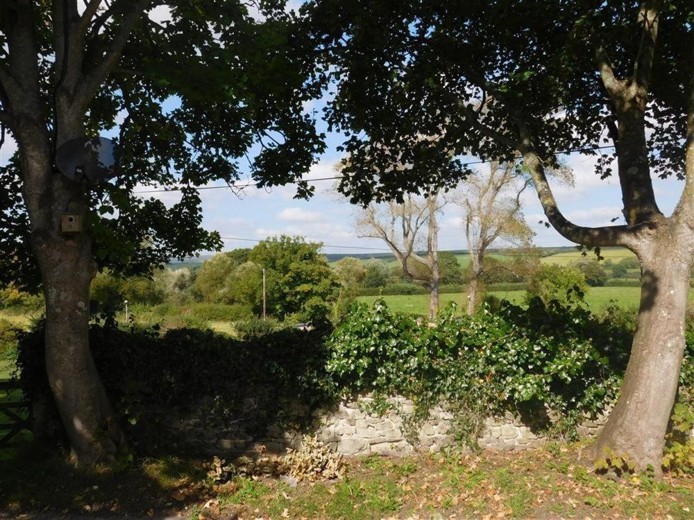 Follis Cottage Weymouth Exteriér fotografie